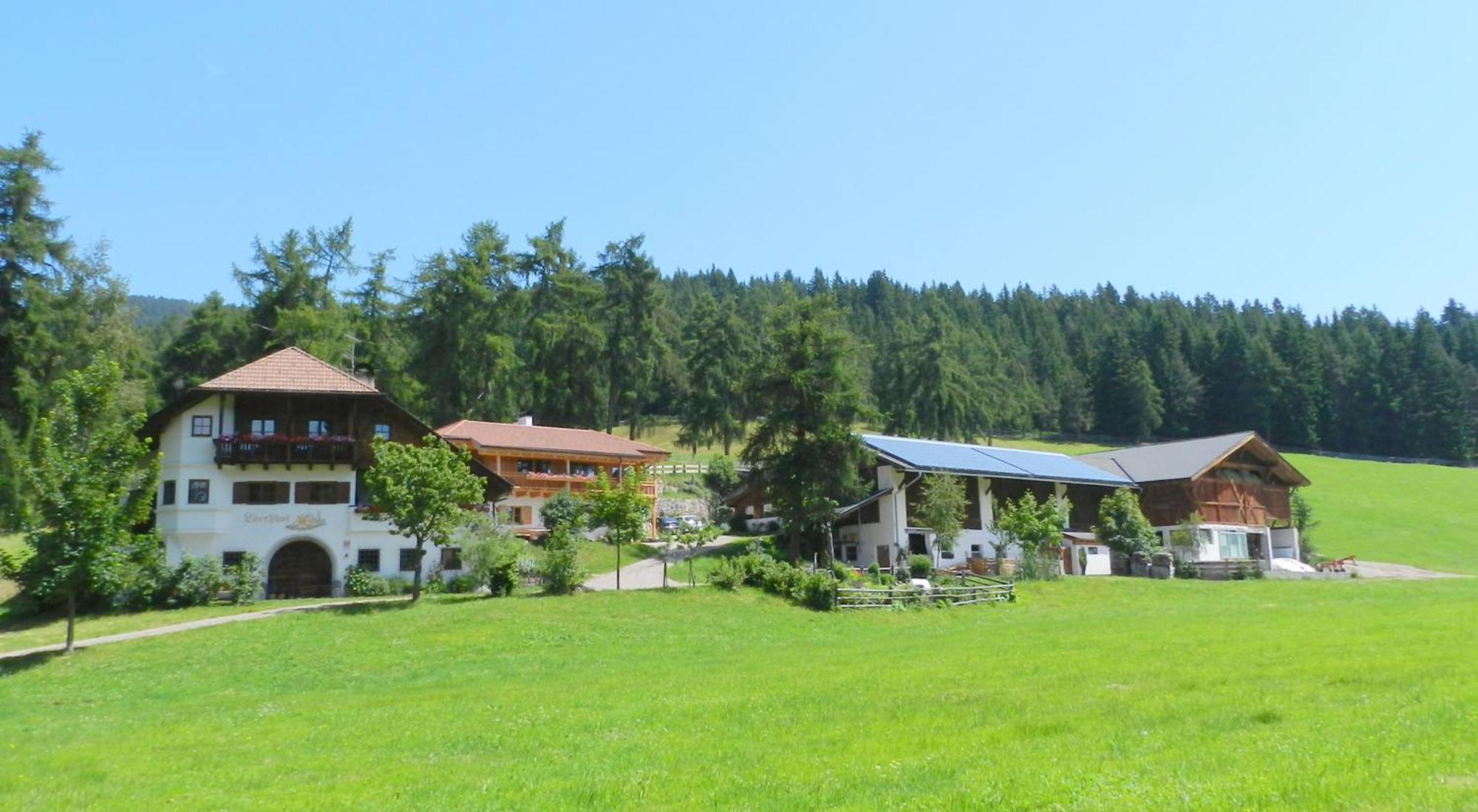 Laerchhof Villa Collalbo Exteriör bild