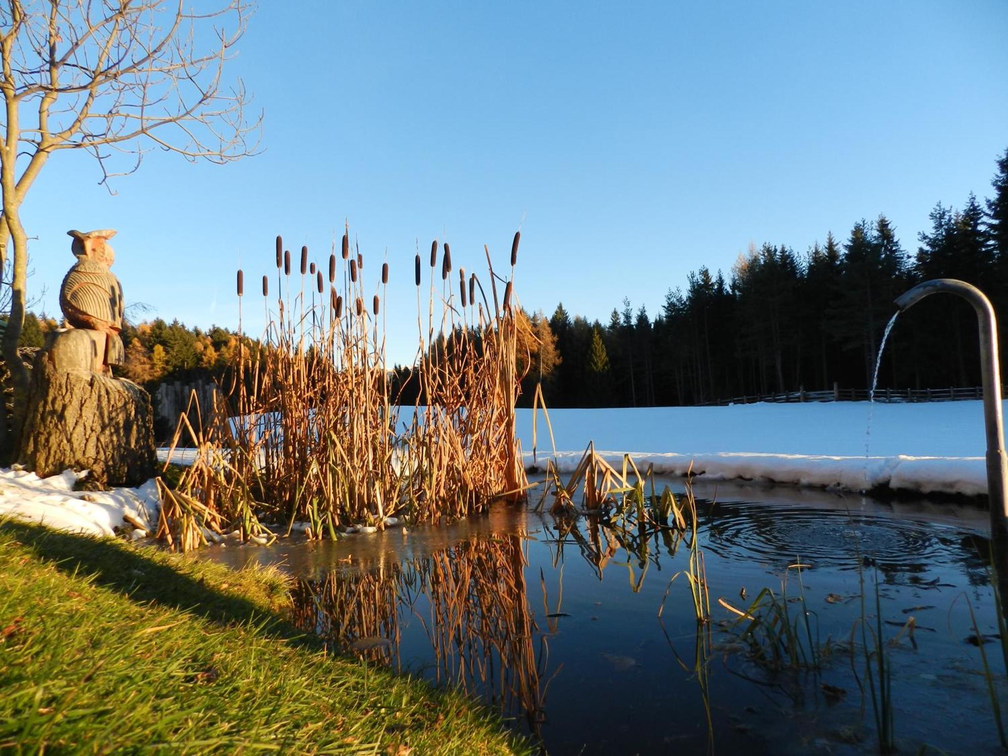 Laerchhof Villa Collalbo Exteriör bild
