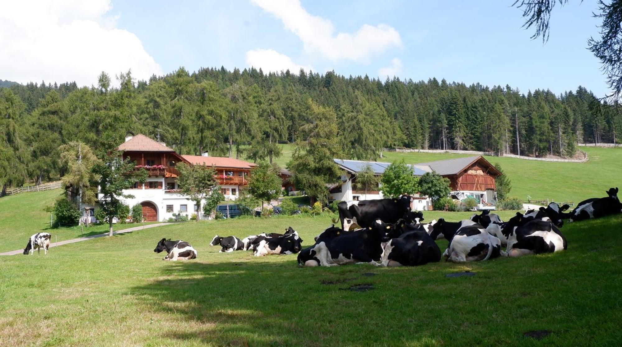 Laerchhof Villa Collalbo Exteriör bild